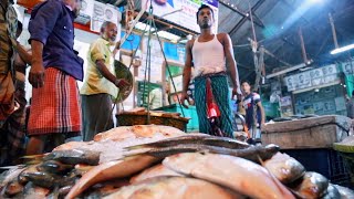 পাইকারি ও কমদামে ইলিশ কিনতে চান | বাংলাদেশের সবচে বড় ইলিশের বাজার | Hilsa Fish Market In bangladesh