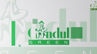 GÂNDUL GREEN |