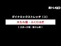 ダイナミックストレッチ（動的ストレッチ）【１】 ～【６】連続再生版／筋トレ前・ランニング前