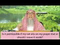 If my cat sits on my prayer mat, is it ok or must I move it aside -  Assim al hakeem