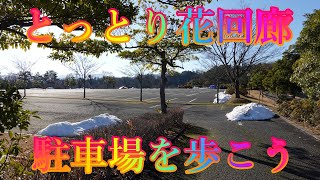 冬散歩 1月18日 土曜 晴れ 寒い朝の空気 #とっとり花回廊 駐車場を歩こう 日本 鳥取県西伯郡南部町鶴田 レストラン花かいろう @WalkingYoshi