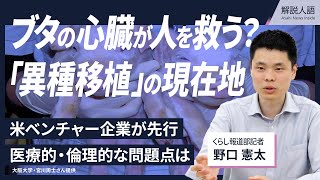 【解説人語】ブタの臓器が人類を救う？　「異種移植」の現在地　医療的なリスク、倫理的な課題は？