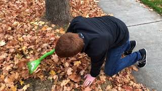 Raking Leaves: How NOT To