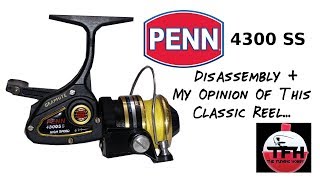 Penn 4300SS: Disassembly, Review, Tips