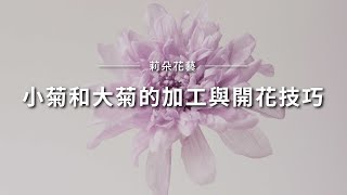 小菊和大菊的加工與開花技巧｜莉朵花藝