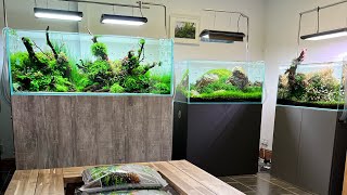 Aquascaping Showroom Update, new aquascapes, new equipment 😃💚