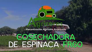 Cosechadora de espinacas FR-60