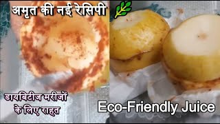 Eco-Friendly Juice | Zero Waste Guava Juice | डायबिटीज मरीजों के लिए राहत | अमृत की नई रेसिपी |