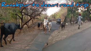 सायरा से रणकपुर देसूरी हाइवे पर रहने वाले आदिवासी ||Ranakpur Desuri Road Trip || Treditional House