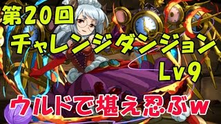 第２０回　チャレンジダンジョンLv9　安定ノーコン