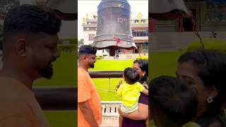 അയ്യോ എന്ത് വലിയ മണിയാണിത്  #shortvideos #viralvideos #viralreels #short #shortsfeed