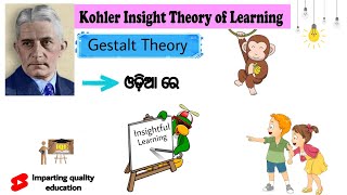 Insightful Learning Theory in Odia।Gestalt psychology। #Wolfgang Kohler।#insightlearning