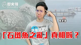 兩岸群聊「石斑魚之亂」：用禁藥是自己不珍惜飯碗！中國大陸的資本規模化漁業養殖很成熟！ft.西安-weiliu、龍哥【歷史哥CALLIN檔案】