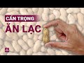 Lạc: Thực phẩm quen thuộc ẩn chứa nguy hiểm khó lường? | VTC Now