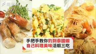 手把手教你釣到蝦！再帶你去私房料理活蝦三吃｜台客嬉遊 #9