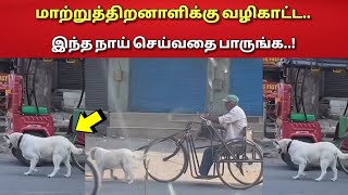 மாற்றுத்திறனாளிக்கு வழிகாட்டிய நாயின் செயல்!