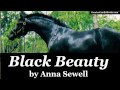 black beauty by anna sewell full audiobook greatest audiobooks v2