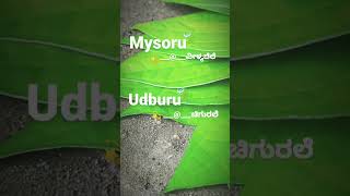 #Mysore special #udburu village betel leaf