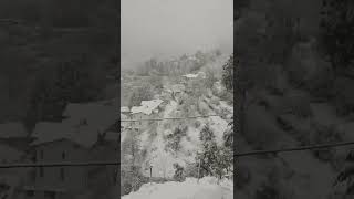 snowfalls finally in kumaun region of Uttarakhand