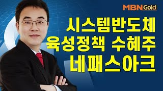 [이효근의 특이점 종목] 시스템반도체 육성정책 수혜주네패스아크 #07/21