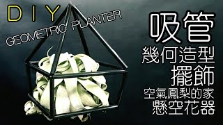 環保又省錢！自製吸管幾何造型花盆 擺飾 空氣鳳梨 仙人掌 HOW TO MAKE GEOMETRIC PLANTER