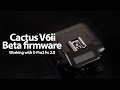 Cactus V6ii beta firmware working with X-Pro2 fw 2.0! - in 4k