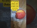 have you ever seen an apple mango 😲 unique fruit surprise shorts ytshorts applemango