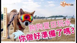 【🎥#哈寵PETube】第127集 夏天到！帶狗狗玩水去！feat.小米遊記