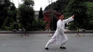 武当太极拳18式 (管永星) - Taijiquan 18 (Guan Yongxing)