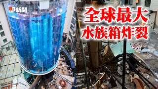 全球最大圓柱水族箱炸裂　海水湧1500魚屍躺滿街｜國際｜德國柏林｜AquaDom｜麗笙飯店