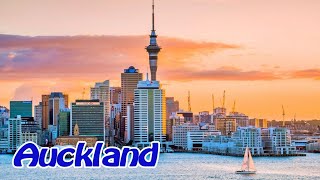 Sky City hotel and Sky Tower, Auckland, New Zealand ep16 - travel calatorie vlog diary