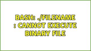 Ubuntu: Bash: ./filename : Cannot execute binary file