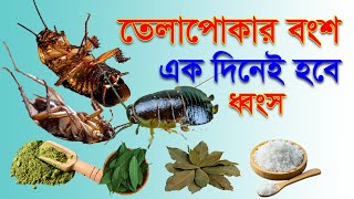 তেলাপোকা তাড়ানোর উপায় | ঘর থেকে তেলাপোকা তাড়ানোর উপায় |  আরশোলা তাড়ানোর সহজ উপায় | #তেলাপোকা