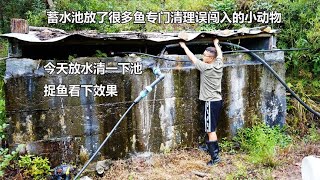 之前蓄水池放了鱼专门清理误闯的小动物，快一年了，今天清池看下