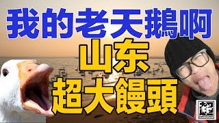 我的老天鵝啊！山東之旅｜超強Vlog｜超強系列