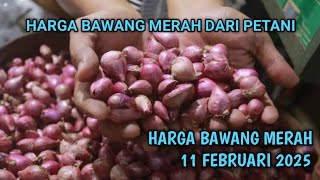 Harga bawang merah hari ini 11 Februari 2025