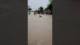 Thoothukudi deadly flooding in kurukuchalai