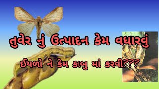 તુવેર ના પાક માં ફાલ-ફુલ ખરતો અટકાવવા અનેવધુ ઉત્પાદન માટેની દવા |ઇયળનુ નિયંત્રણ |PigeonpeaTuver