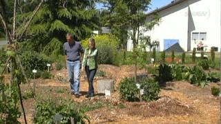 INNISFREE FARM in the Comox Valley