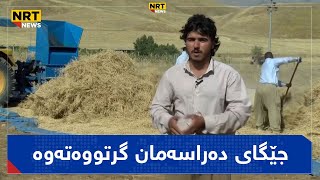 چەند هاوڵاتیەک لە سنوری پشدەر بە هەرەوەزی خەرمان دەکوتن