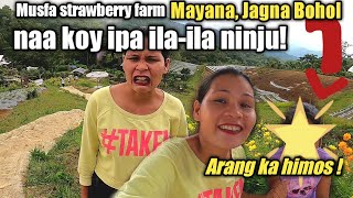 MUSFA BOHOL ORGANIC STRAWBERRY FARM MAYANA JAGNA | NAA KOY IPA-ILA-ILA NINJU | FLORAME BOHOLANA