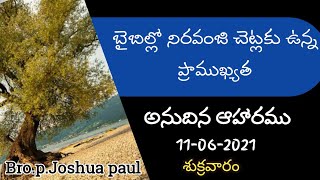 🔴బైబిల్లో నిరవంజి చెట్టు యొక్క ప్రాముఖ్యత /అనుదిన ఆహారము/11-06-2021/శుక్రవారం/బ్రదర్.పి.జాషువా పాల్