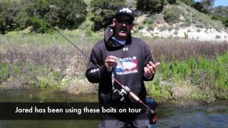 TackleTour Video - Pro Angler Jared Lintner debuts his new Shaky Fins Shad Swimbait