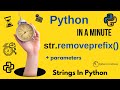 str.removeprefix(prefix) - Remove Prefix from Python Strings if Present