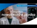 Nowotwór jajnika - wczesna diagnostyka | dr hab. n. med Dagmara Klasa-Mazurkiewicz