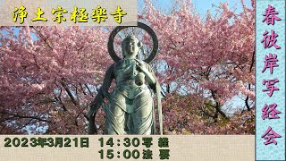 浄土宗 極楽寺 春彼岸写経回向法要 （2023年３月2１日）