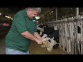 twin birch farm a sustainability story