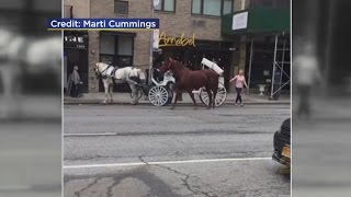 Runaway Horse Goes For A Walk In Hell's Kitchen