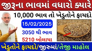 🔥જીરુ ના ભાવમાં જોરદાર તેજી🔥 |15/02/2025| information about cumin price | community trend