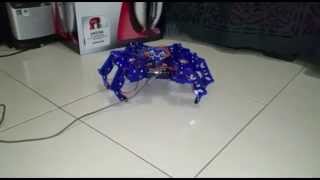 Hexy The Hexapod